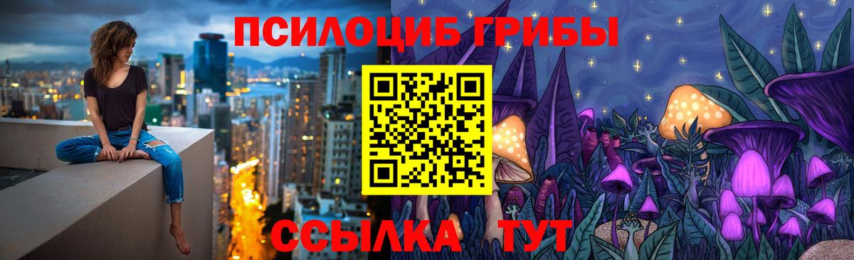 Аксай  Галлюциногенные грибы прущие грибы  Вход с VPN 