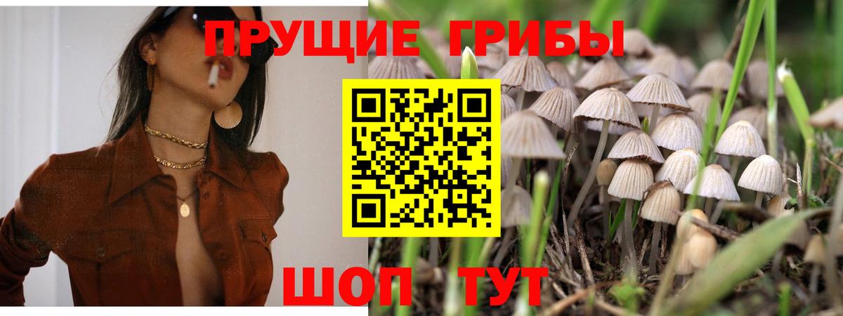 Псилоцибиновые грибы прущие грибы Аксай